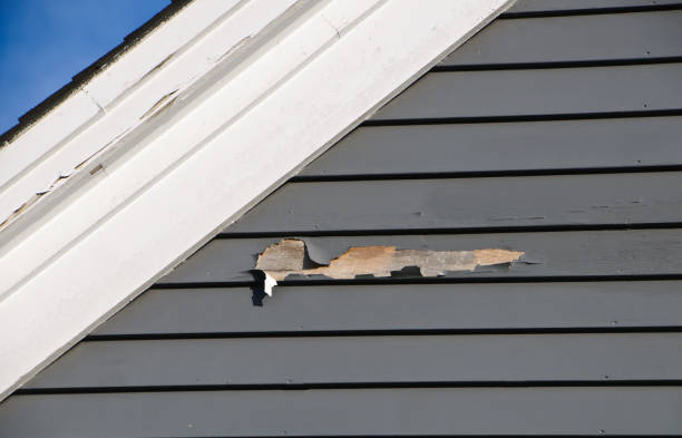 Best Demolition Debris Removal  in Naugatuck, CT